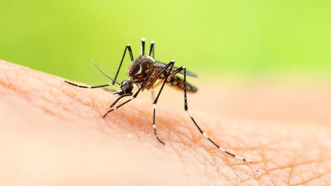 Authorities are urging people to prevent mosquito bites.