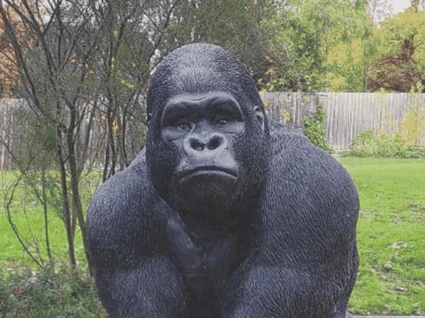 Victoria Police have charged a 33-year-old man for the alleged theft of 'Garry the Gorilla'. Picture: Victoria Police