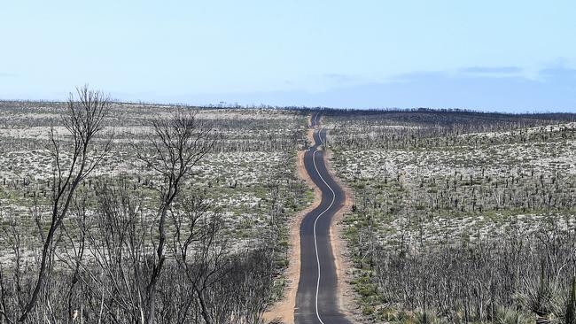 The iconic road in to Flinders Chase National Park. Picture Sarah Reed