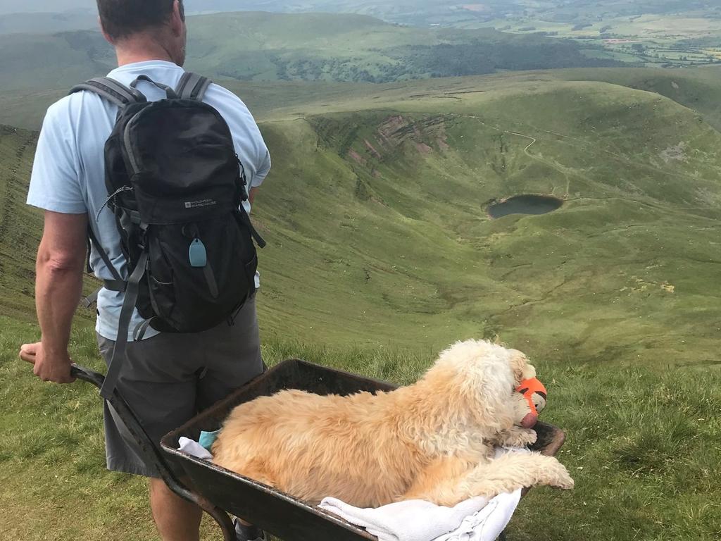 After becoming aware the labradoodle wasn’t well, Mr Fresco decided to return to the beacons one final time. Picture: SWNS/Mega