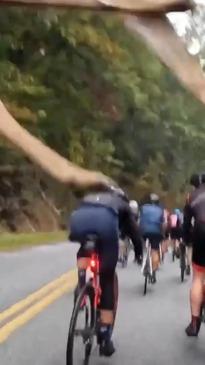 Cyclist captures unbelievable moment he gets jumped by a deer