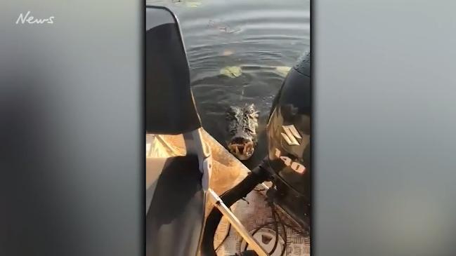 Croc attacks boat. CREDIT: Suzuki Marine