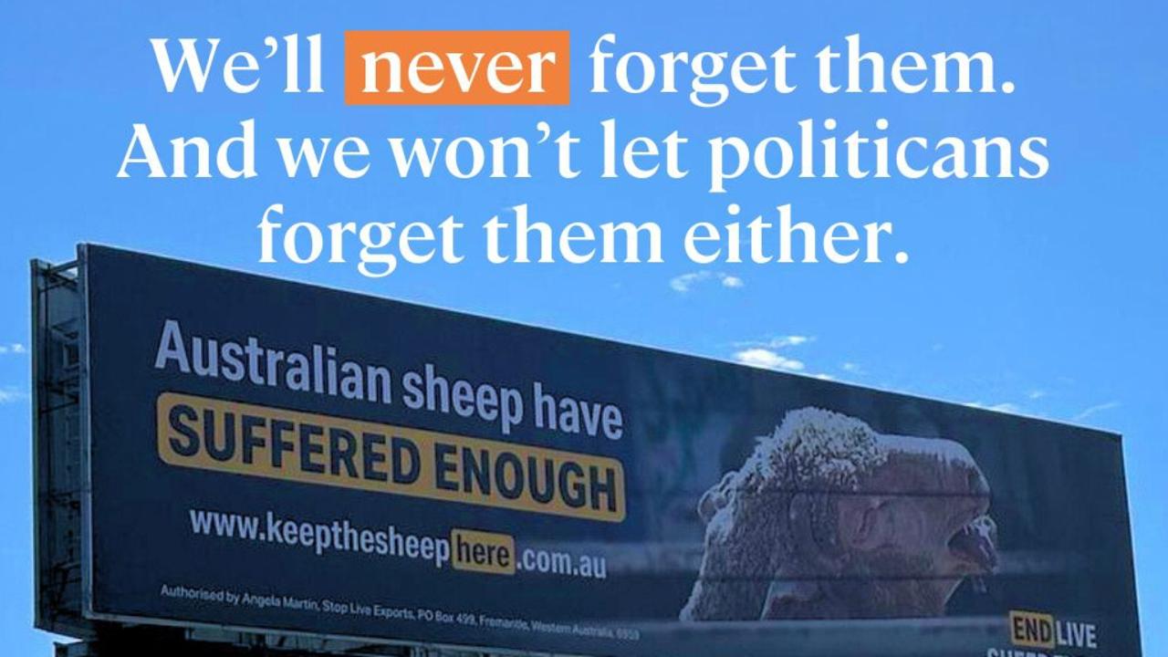 How Animals Australia will make live export an election issue