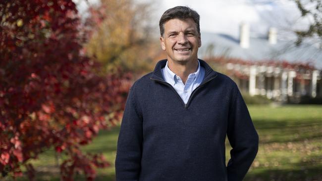Shadow treasurer and federal member for Hume Angus Taylor. Picture: Martin Ollman