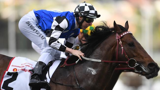 Brave Smash is expected to be another big drawcard to The Everest on October 14. Picture: AAP