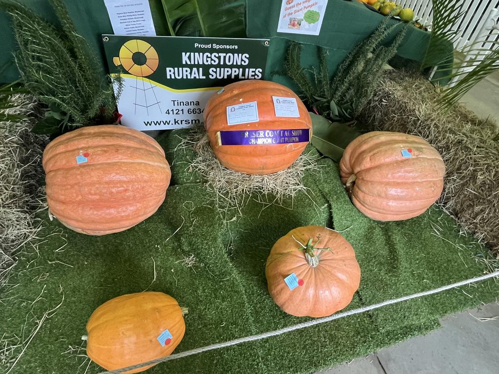 The bumper pumpkins on display at the Fraser Coast Show.