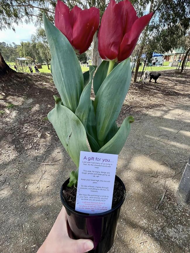 Nicole Day shared a photo of the tulips she received at Lillydale Lake on September 25.