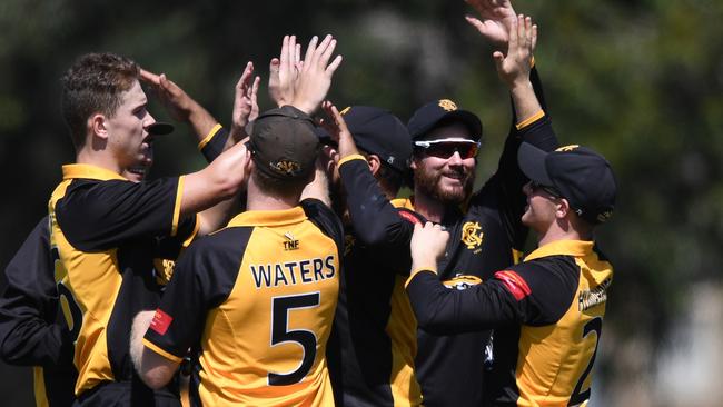 Richmond celebrates a wicket last season. Picture: Julian Smith