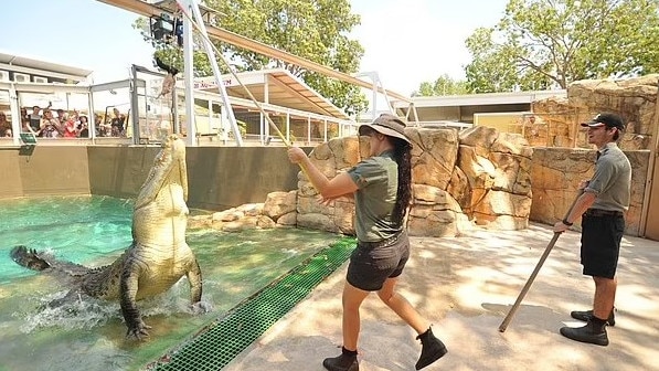 A source said the staff member was lucky she “didn’t lose a limb”. Picture: Facebook/Crocosaurus Cove Darwin