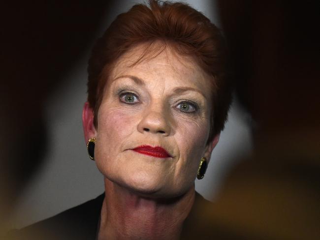 One Nation leader Senator Pauline Hanson speaks to the media after leaving the 16th Annual Tourism and Transport Forum Leadership Summit at Parliament House in Canberra, Wednesday, Nov. 23, 2016. (AAP Image/Mick Tsikas) NO ARCHIVING