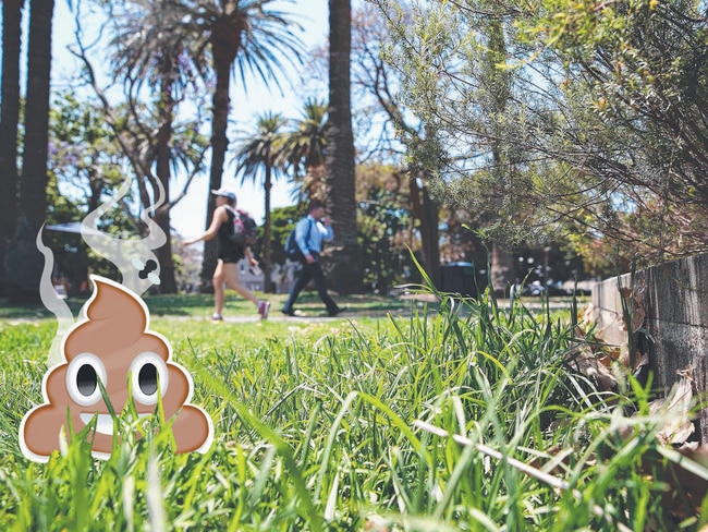 Human poos in public are not making Ashfield business owners happy. Picture: Digitally altered image/Carly Earl