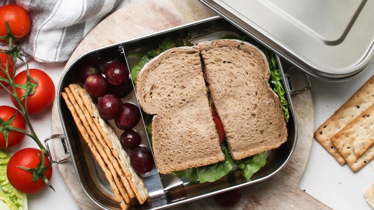 Best Adult Lunch Boxes of 2023, Shopping : Food Network