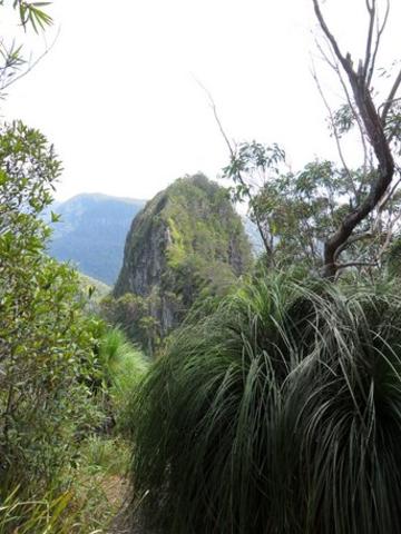 A view on the way to Mount Cougal. Photo: Bob Fairless