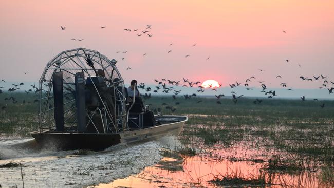 Airboat Safari at Bamurru Plains.