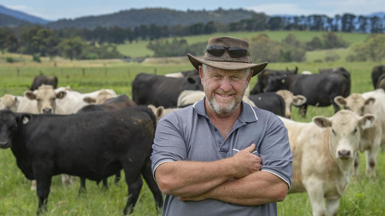 Weaner sales 2024 calendar: Wodonga, Yea, Pakenham and Wangaratta | The ...