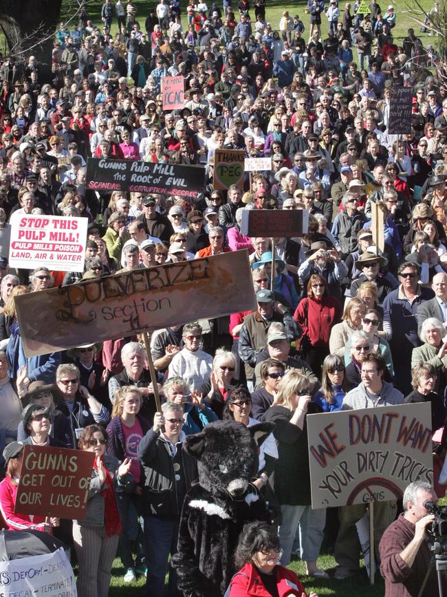 Rally against the pulp mill, City Park, Launceston, August 23, 2008.