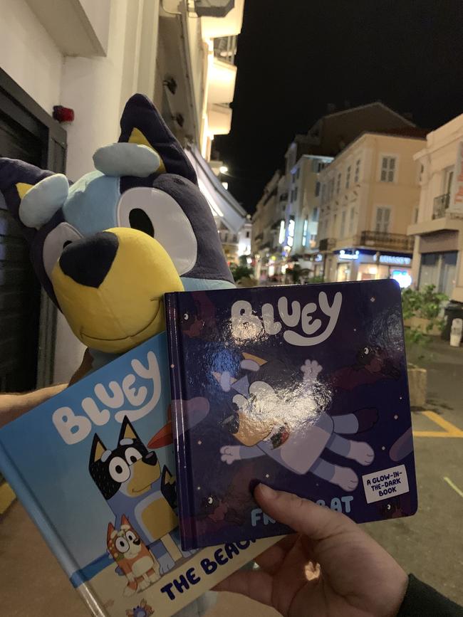 Bluey has had books published and now plush toys will soon be available. Pic: Supplied