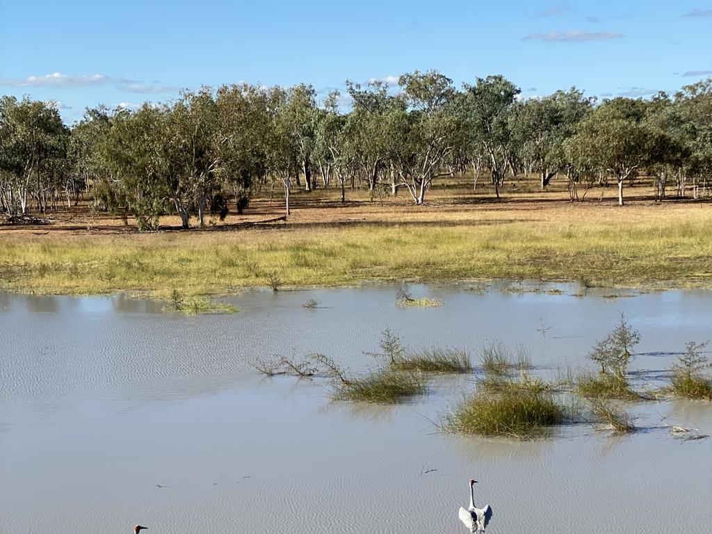 Ms Scanlon said the Great Barrier Reef would also benefit from the acquisition, with the headwaters of the South Gregory River protected through the purchase.