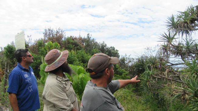 Kabi Kabi traditional owners Kerry Jones, Sean Fleischfresser and Rodney Jones inspecting pandanus on the Coast.