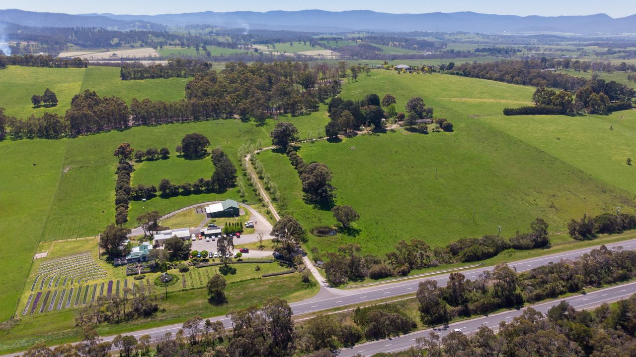 Lady Lavender’s Tea Room and Farm at Bunyip for sale | The Weekly Times