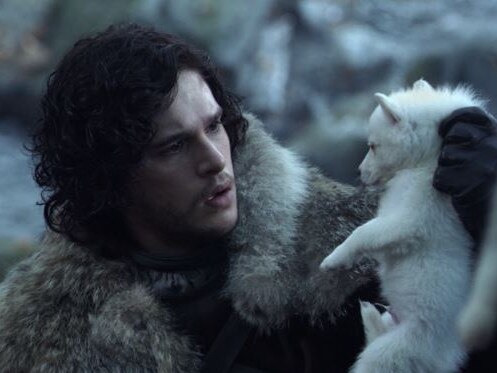 Ghost ... Jon Snow chose the all-white direwolf from a litter of pups. Picture: HBO