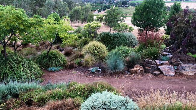 The garden in Seppeltsfield, Barossa Valley, SA. Source: Beryl Hunter