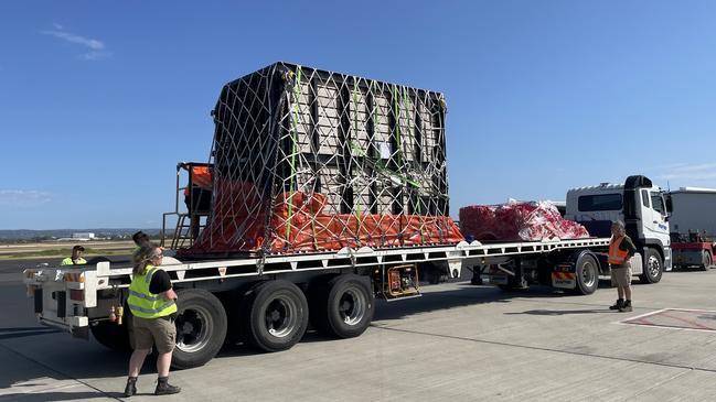 Burma the elephant has arrived in Adelaide from Auckland Zoo. Picture: ZoosSA