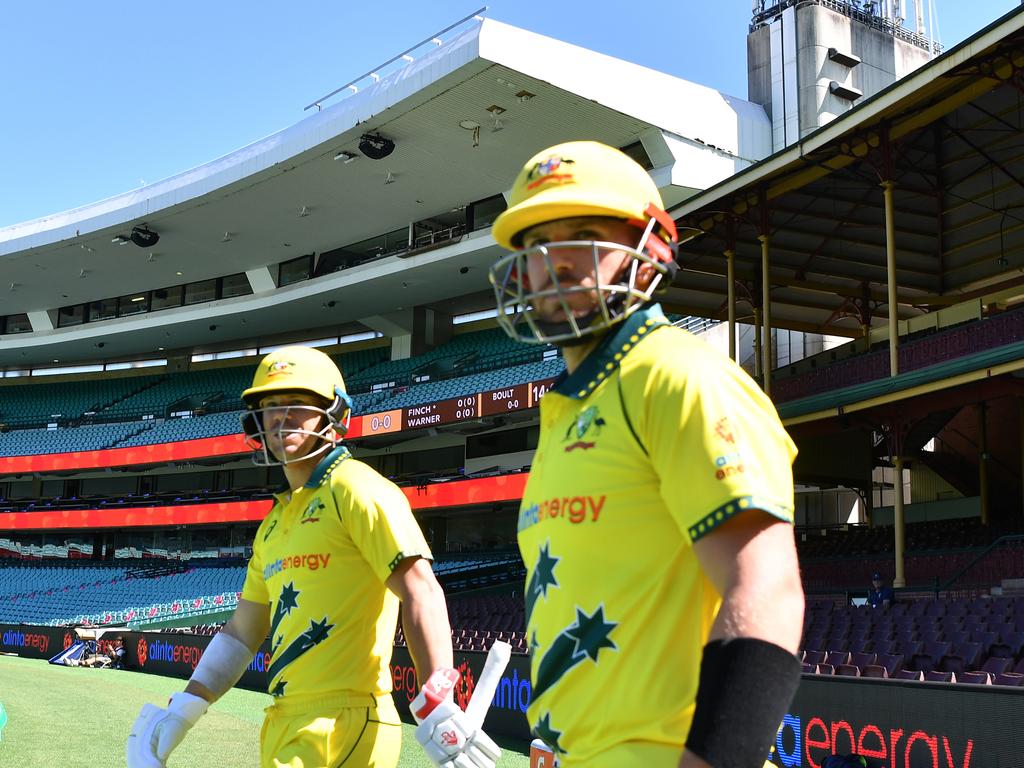 David Warner and Aaron Finch opened the batting together for Australia on 119 occasions. Picture: AAP Image/Dean Lewins