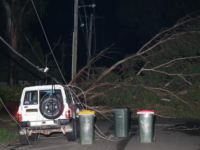 Trees blown over and power lines left on local streets around Whalan last night. Picture: Bill Hearne