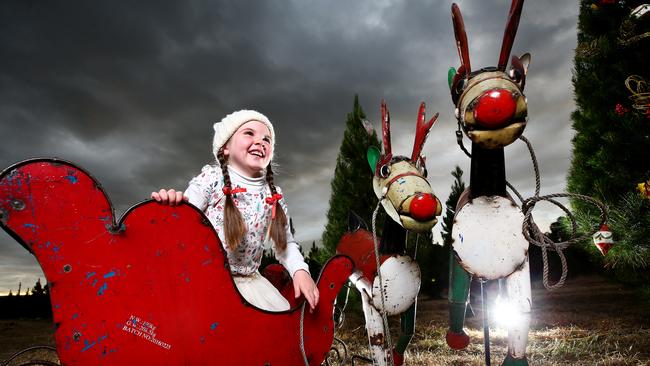 Evelyn Fraser 4 and her family’s Granite Belt Christmas Farm are welcoming an influx of visitors after the easing in Covid 19 restrictions. Picture: Adam Head