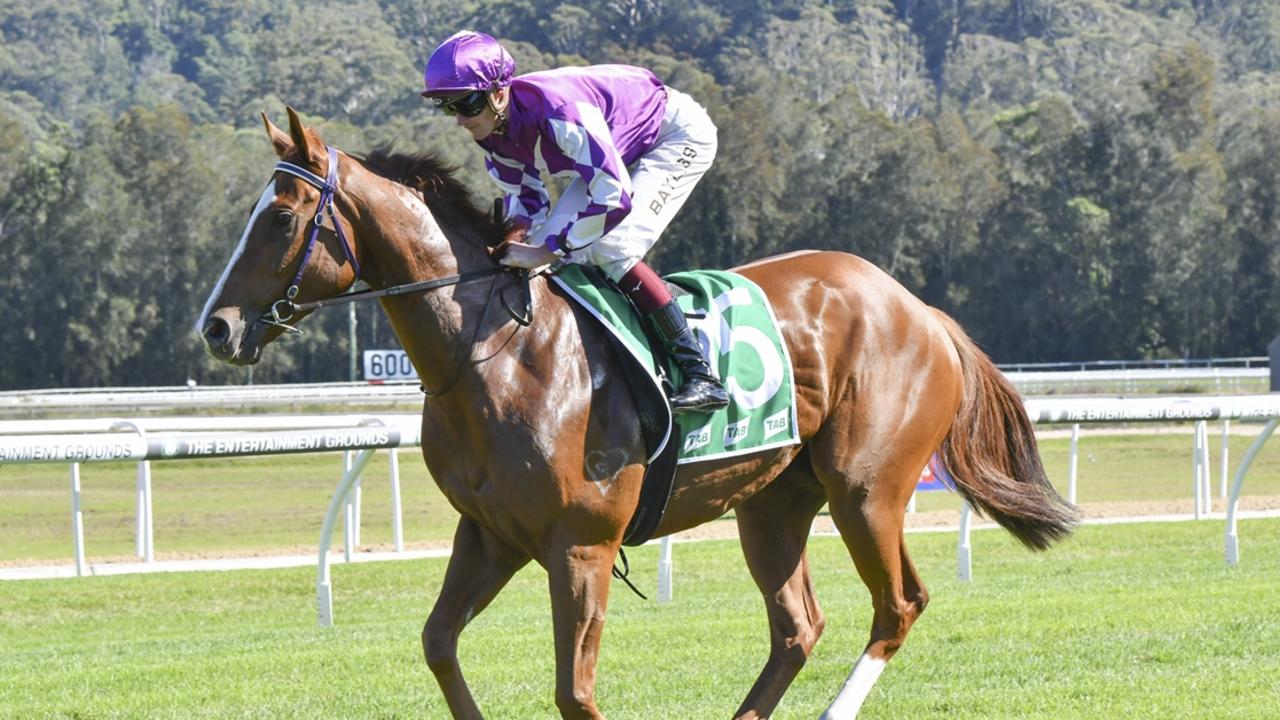 Country Championships prospect Bantarki can kick off his campaign in a winning note: Picture: Bradley Photos