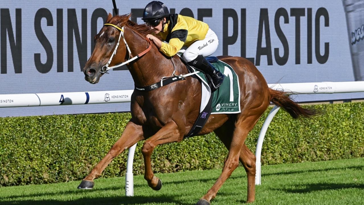 ‘One of the best wet trackers on the program … good odds too’