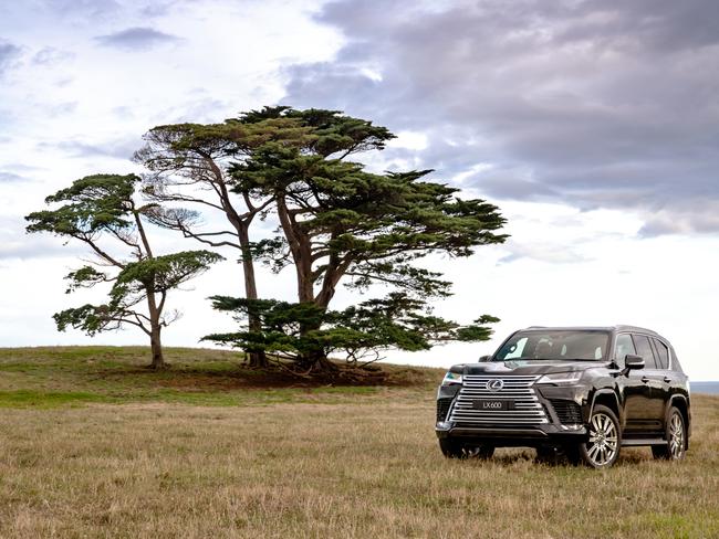 How many limousines can go off-road? Ultimate family adventurer