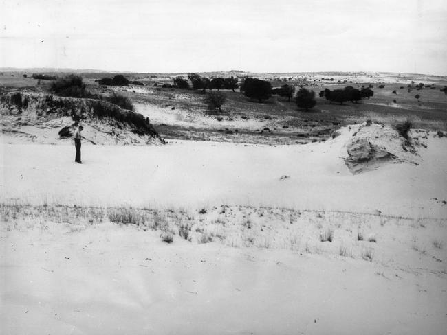 A photo from 1976 shows sand encroaching on agricultural land at Beachport.