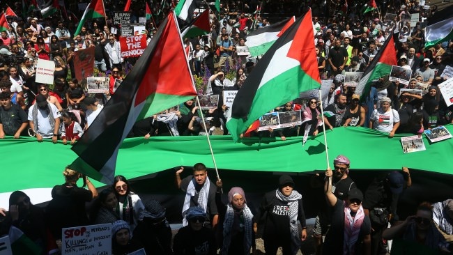 Thousands gather at Sydney for pro-Palestine rally | Sky News Australia