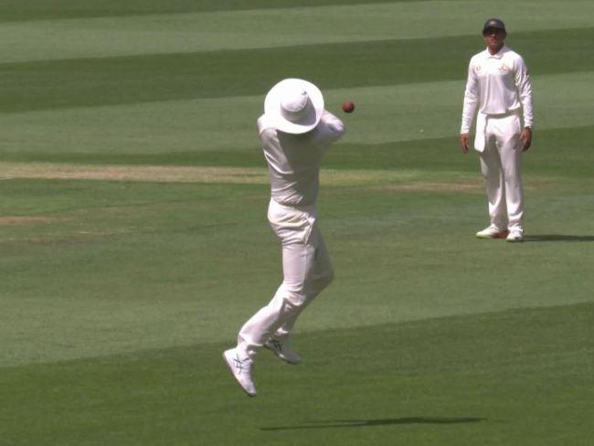 Peter Siddle came on as a substitute fielder and dropped catch a simple catch to give Rohit Sharma a life.