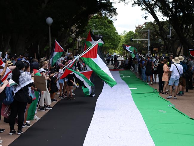 Attendees at the Free Palestine rally in Hyde Park in Sydney. Picture: NCA NewsWire/ Dylan Robinson