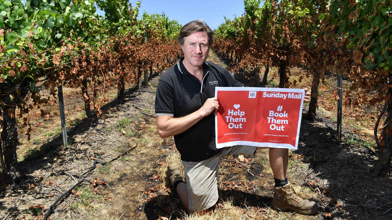 Darren Golding in the Golding Wines vineyards in Lobethal. Picture: AAP/ Keryn Stevens