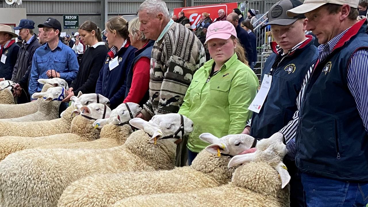 Australian Sheep and Wool Show Results, rams sell to 20,000 The