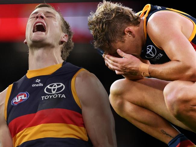 Adelaide Crows deep dive art