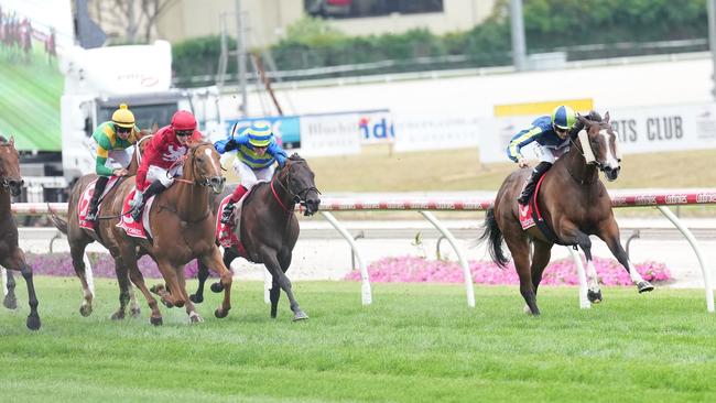 Taunting controlled the race for an easy win. Picture: Scott Barbour/Racing Photos via Getty Images