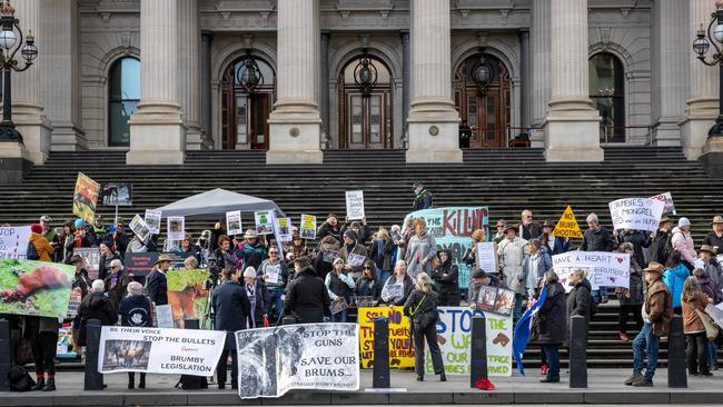 Protesters advocated to “stop the guns” and “stop the bullets” used to cull wild horses. Picture: Jake Nowakowski