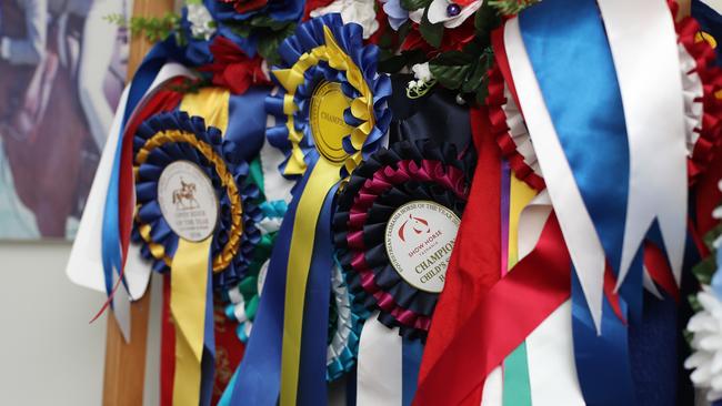 Sarah’s impressive collection of recent equestrian awards. Picture: LUKE BOWDEN