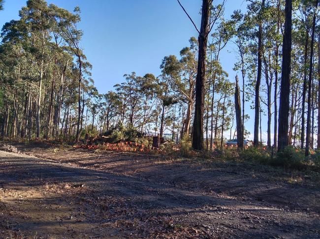 Trees on the road were also removed to make space for a right turning lane. Picture: Facebook/Graeme Wilson