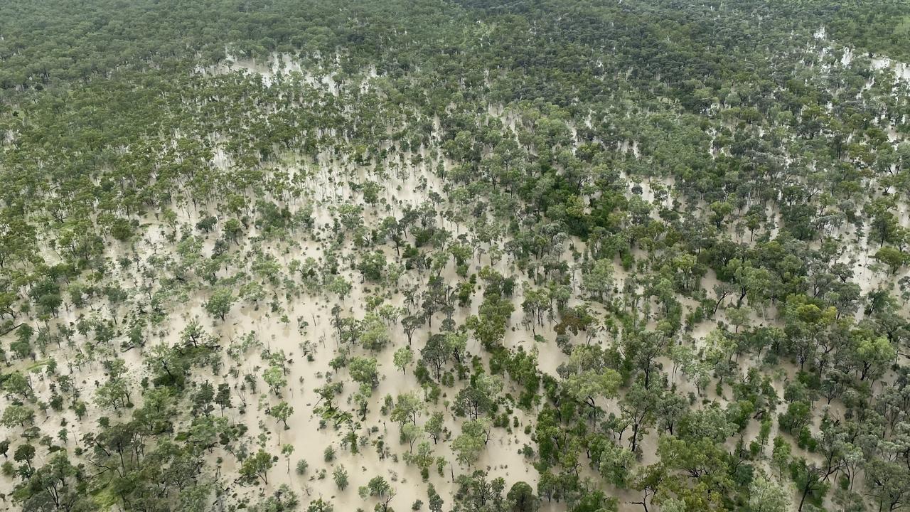 Helicopter pilot James Pleaotz took this shot of transformed cattle country on Sunday while he was checking and moving cattle in flood waters of the Belyando and Sutter rivers. Picture: Contributed