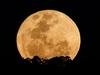 Don’t miss 2024’s giant, orange supermoon