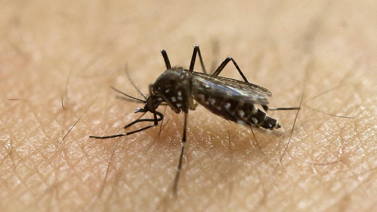 Residents in the affected LGAs are likely to be able to access the vaccine, especially if they were affected by floods. Picture: AP Photo / Andre Penner, File