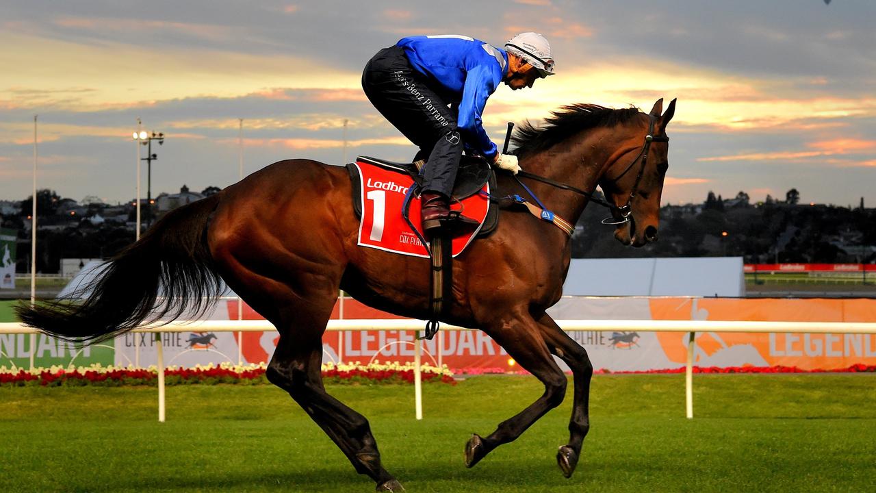 Winx is set to become a mum for the first time.