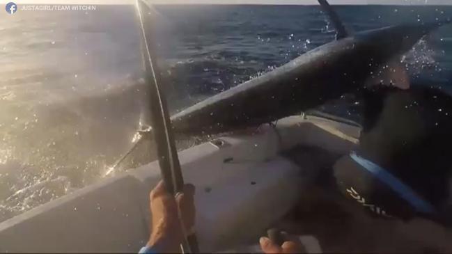 Fisherman Nearly Stabbed in the Head By a 200-Pound Marlin