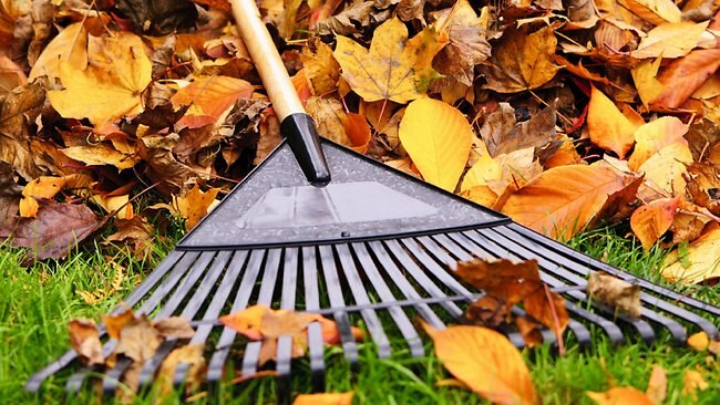 Landscaper finds $1m scratch lottery ticket while raking leaves | news ...